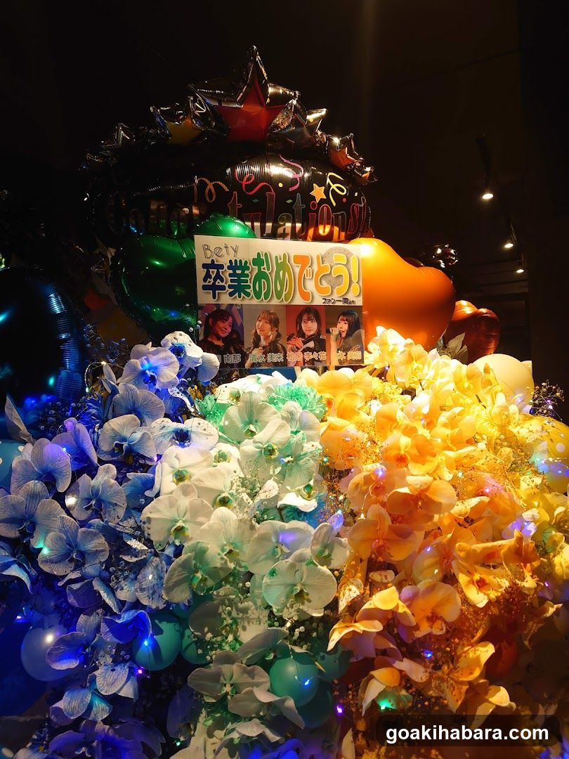 Parms Akihabara