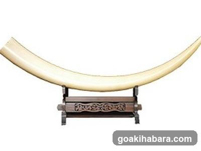 Kikinzoku Daiyamondokaitori Flawless Okachimachiten