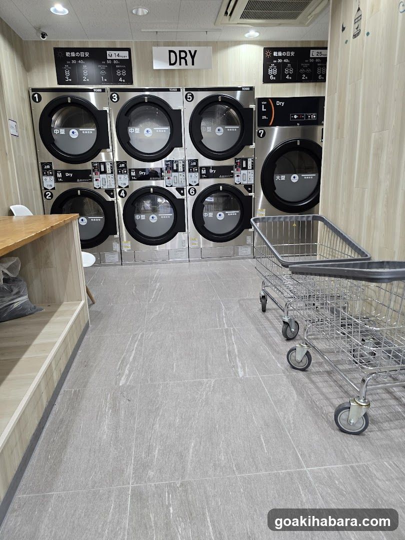 Pikafuwattaitoten Coin Laundry