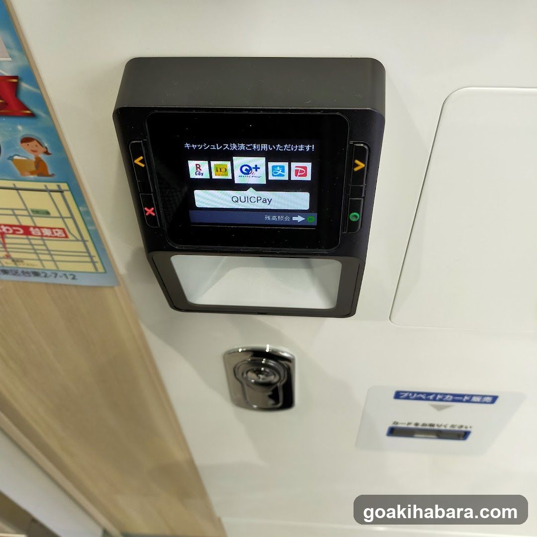 Pikafuwattaitoten Coin Laundry