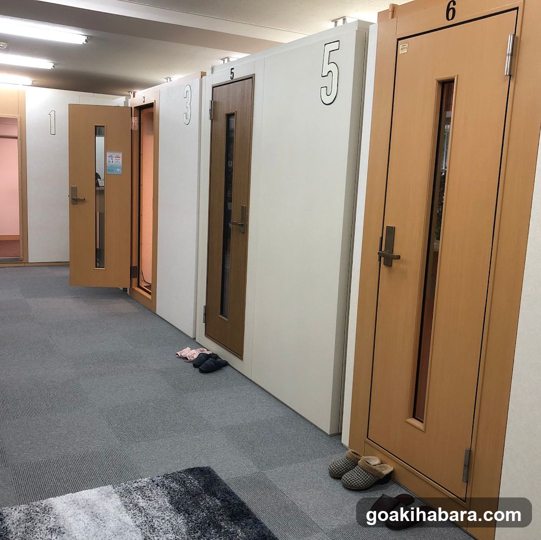 Tokyo voice training school Akihabara school