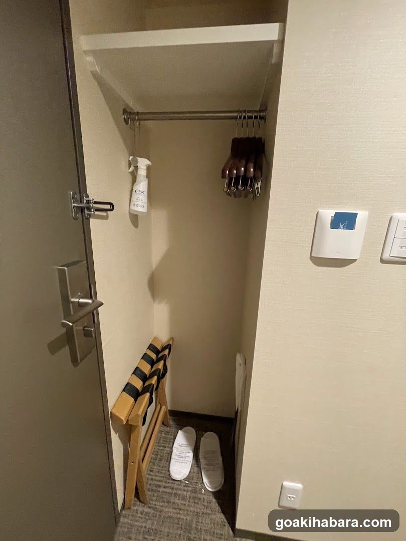 Hotel Closet Interior