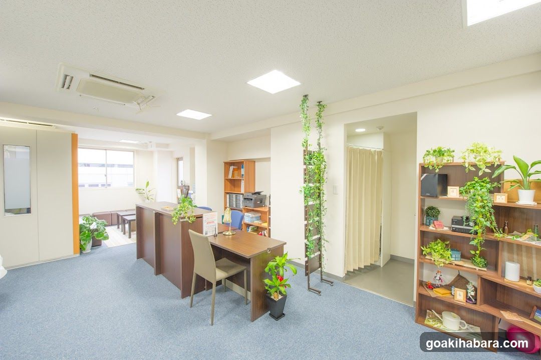 Tokyo Voice Training School