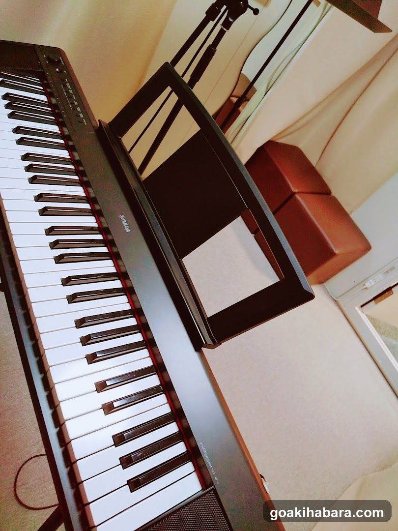 Tokyo Voice Training School