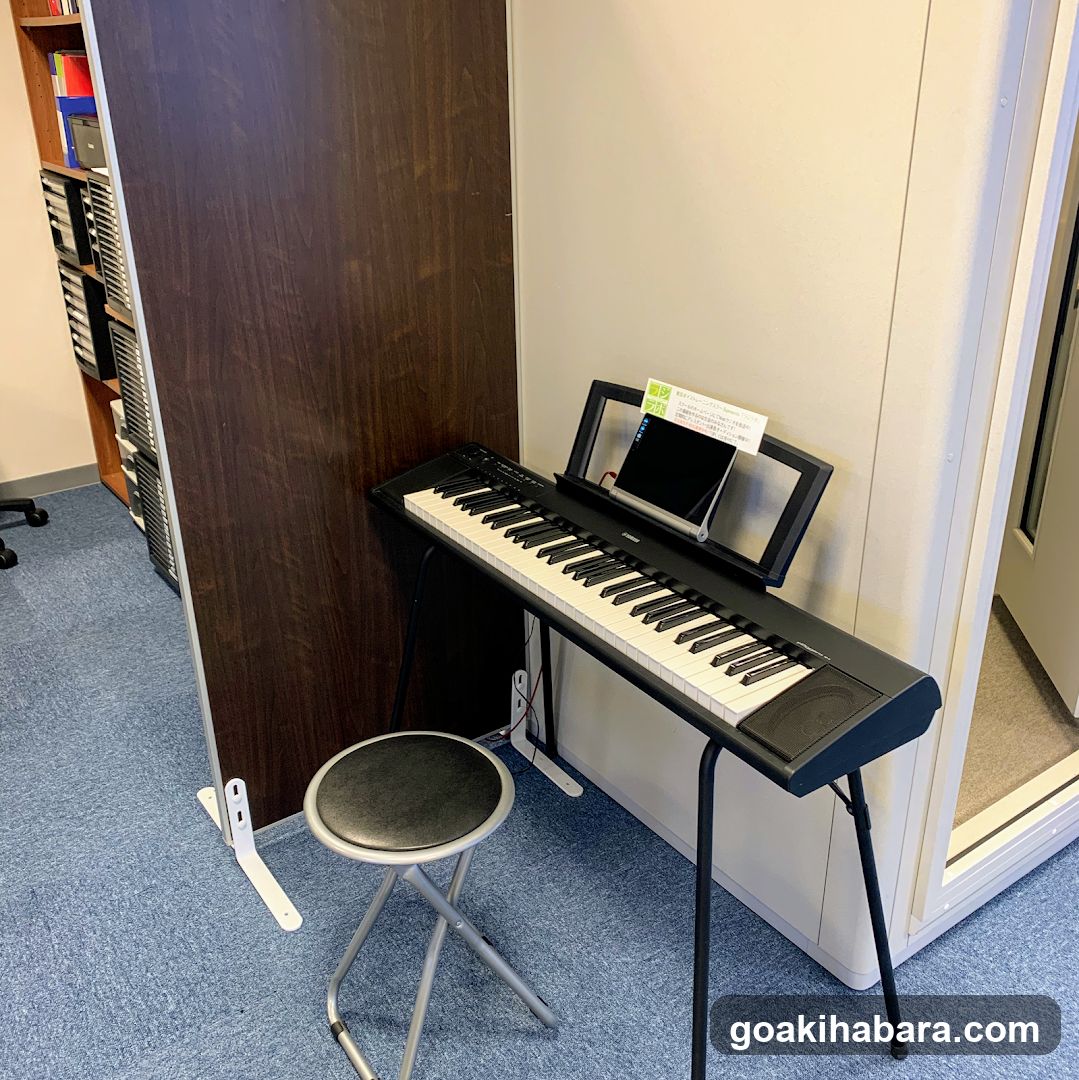 Tokyo Voice Training School