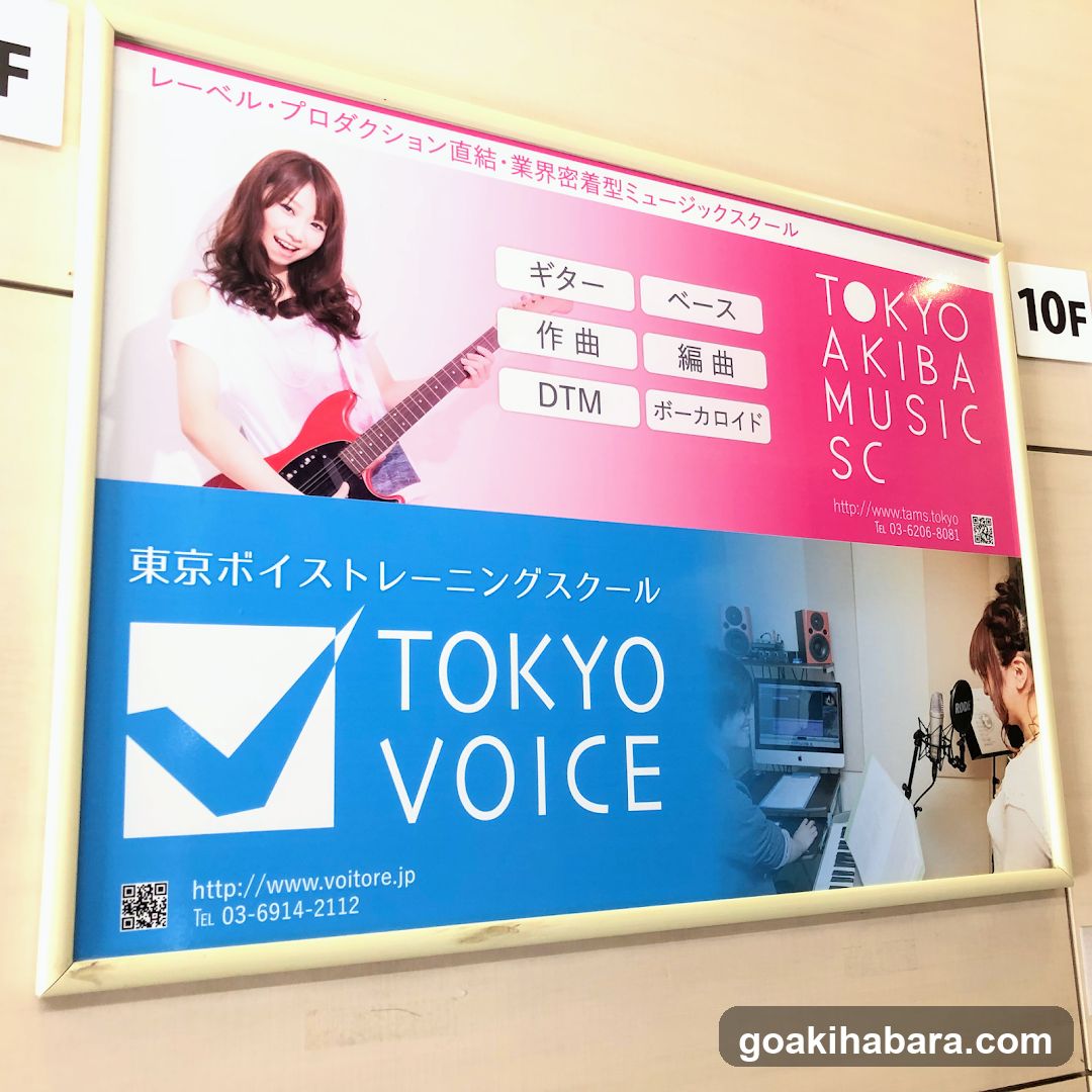 Tokyo Voice Training School