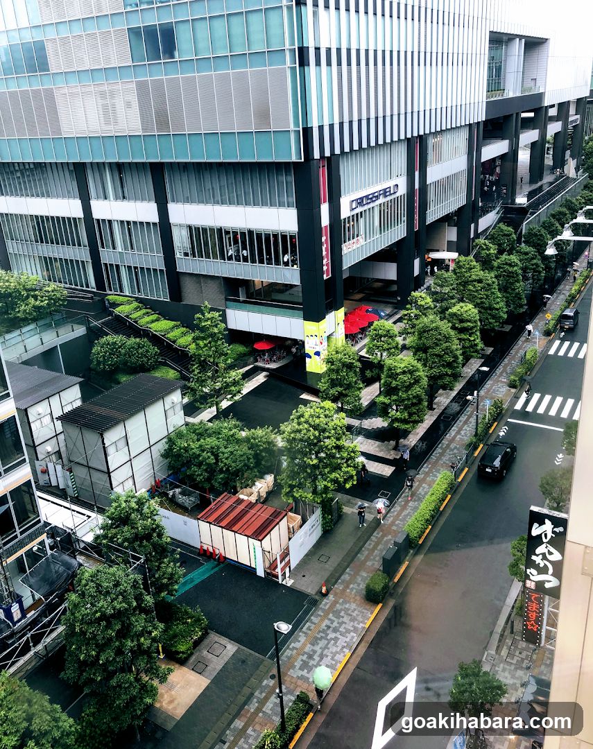 Tokyo Voice Training School