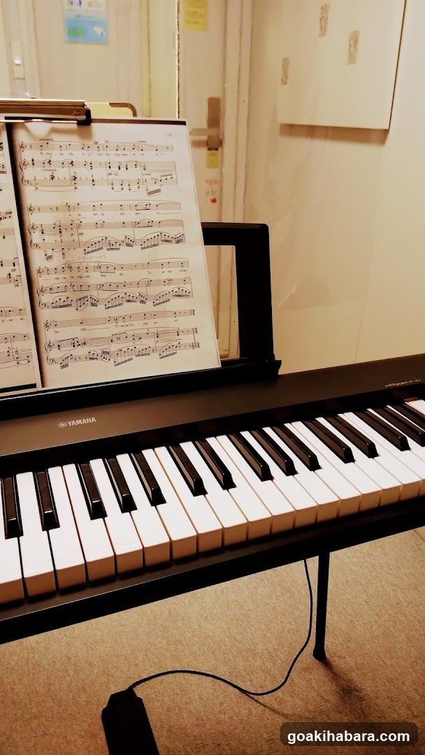 Tokyo Voice Training School