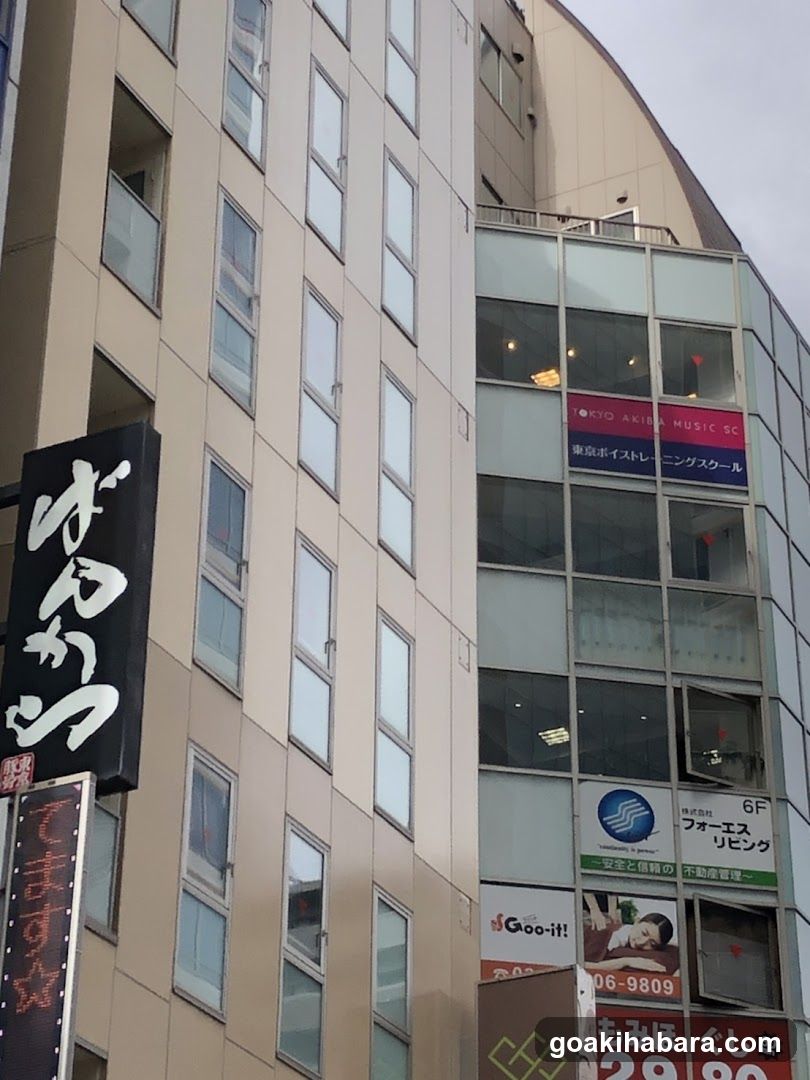 Tokyo Voice Training School