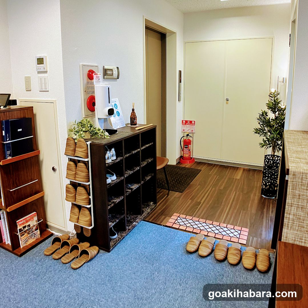 Tokyo Voice Training School