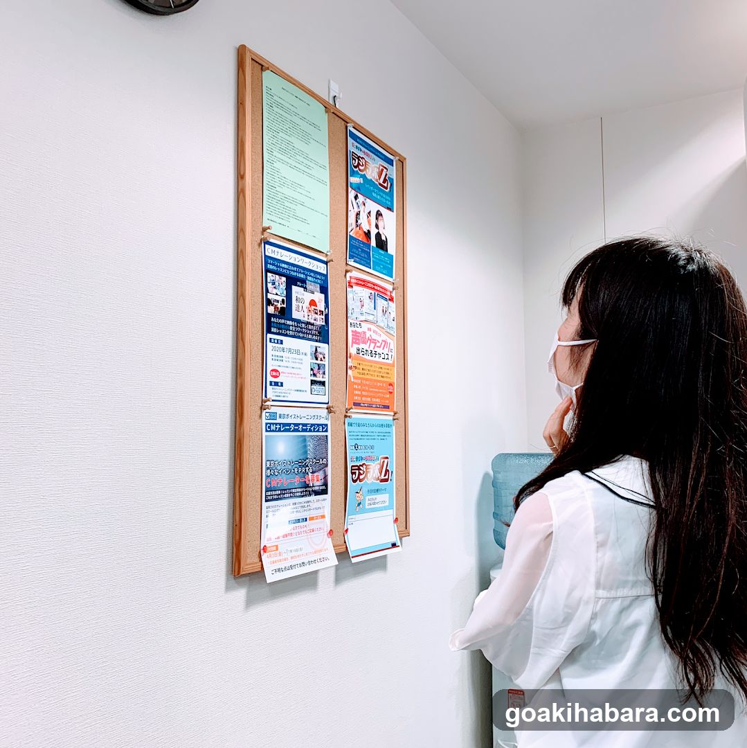 Tokyo Voice Training School