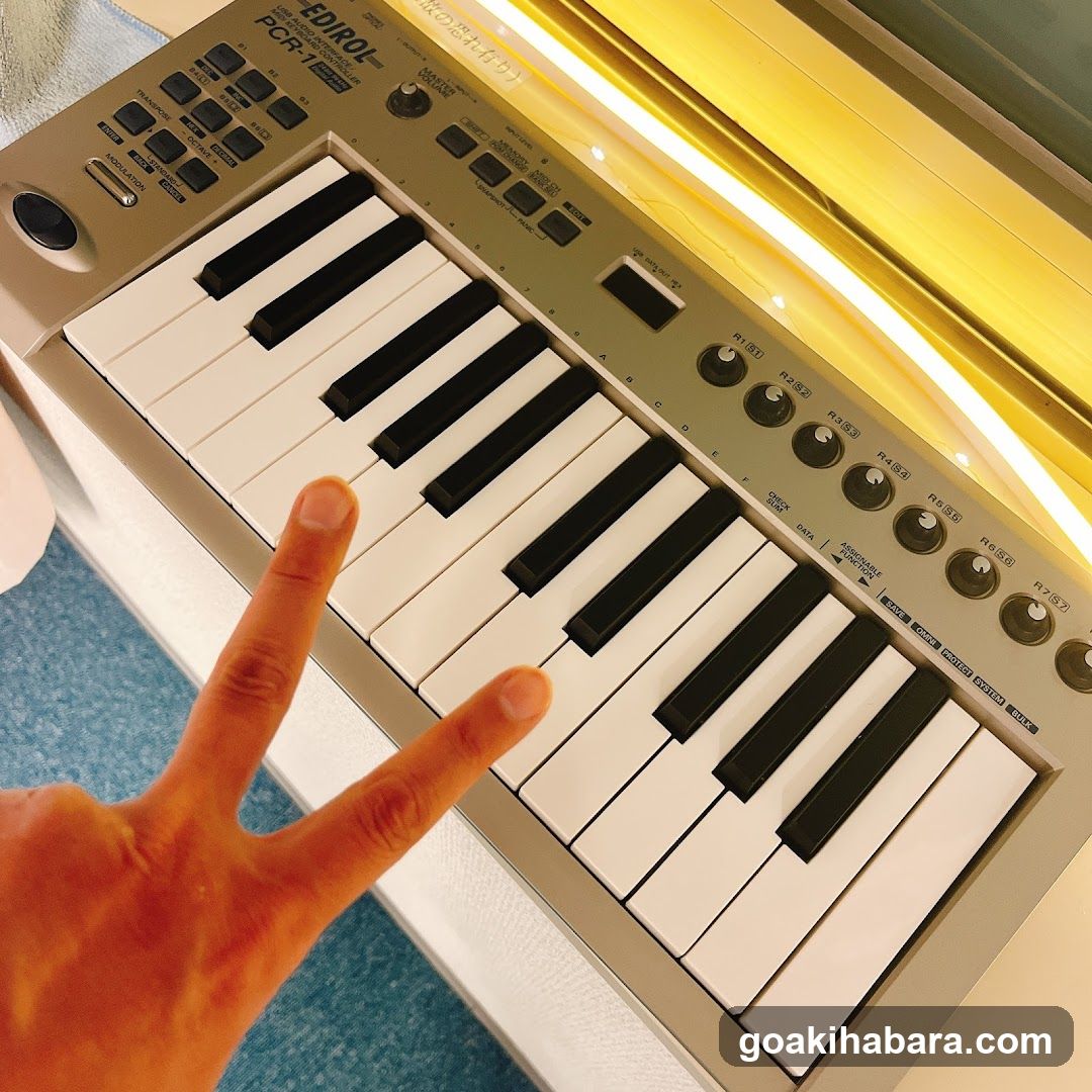 Tokyo Voice Training School