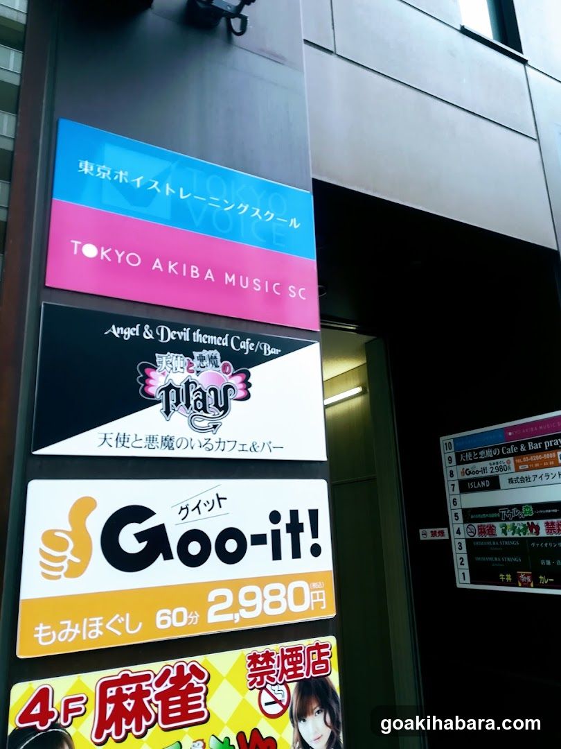 Tokyo Voice Training School