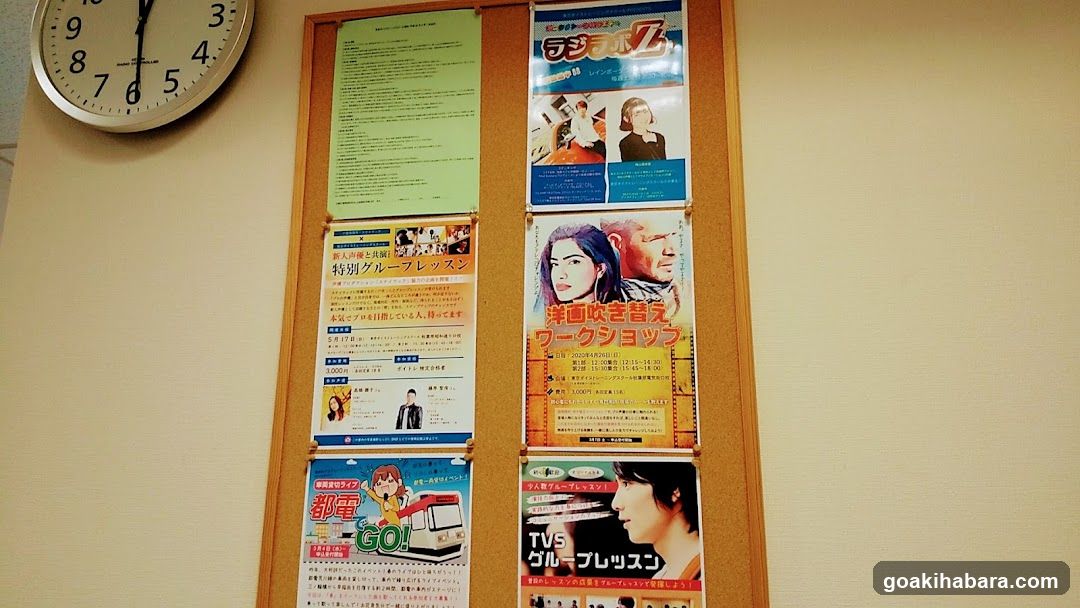 Tokyo Voice Training School