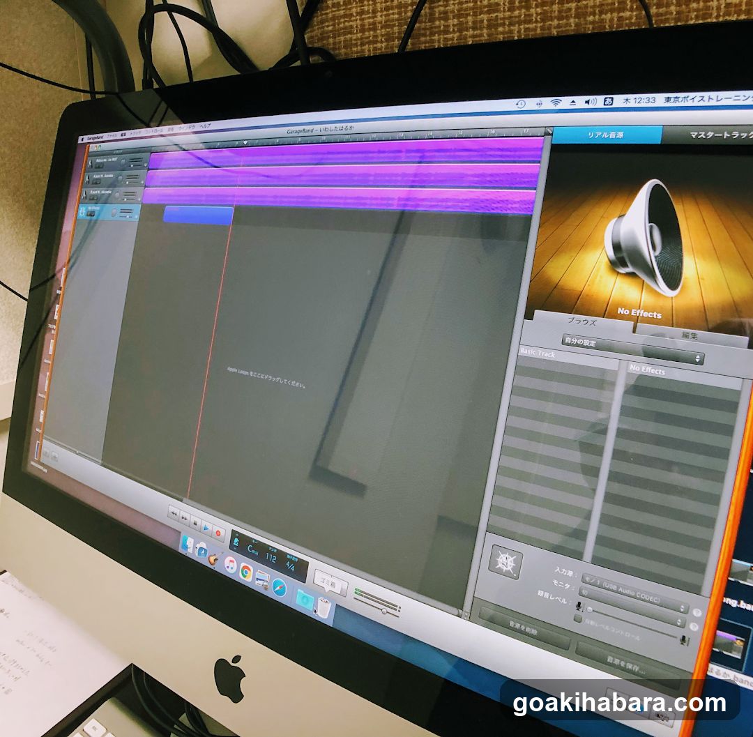 Tokyo Voice Training School