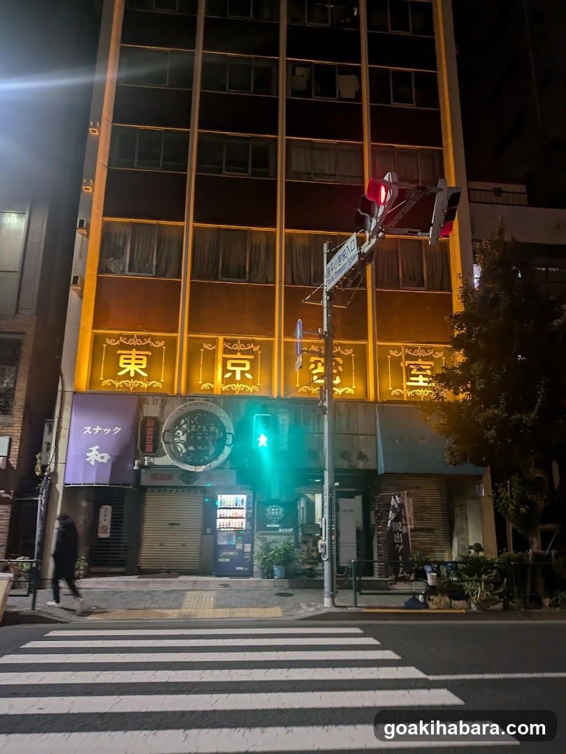 東京密室・リアル型謎解き脱出ゲーム秋葉原店