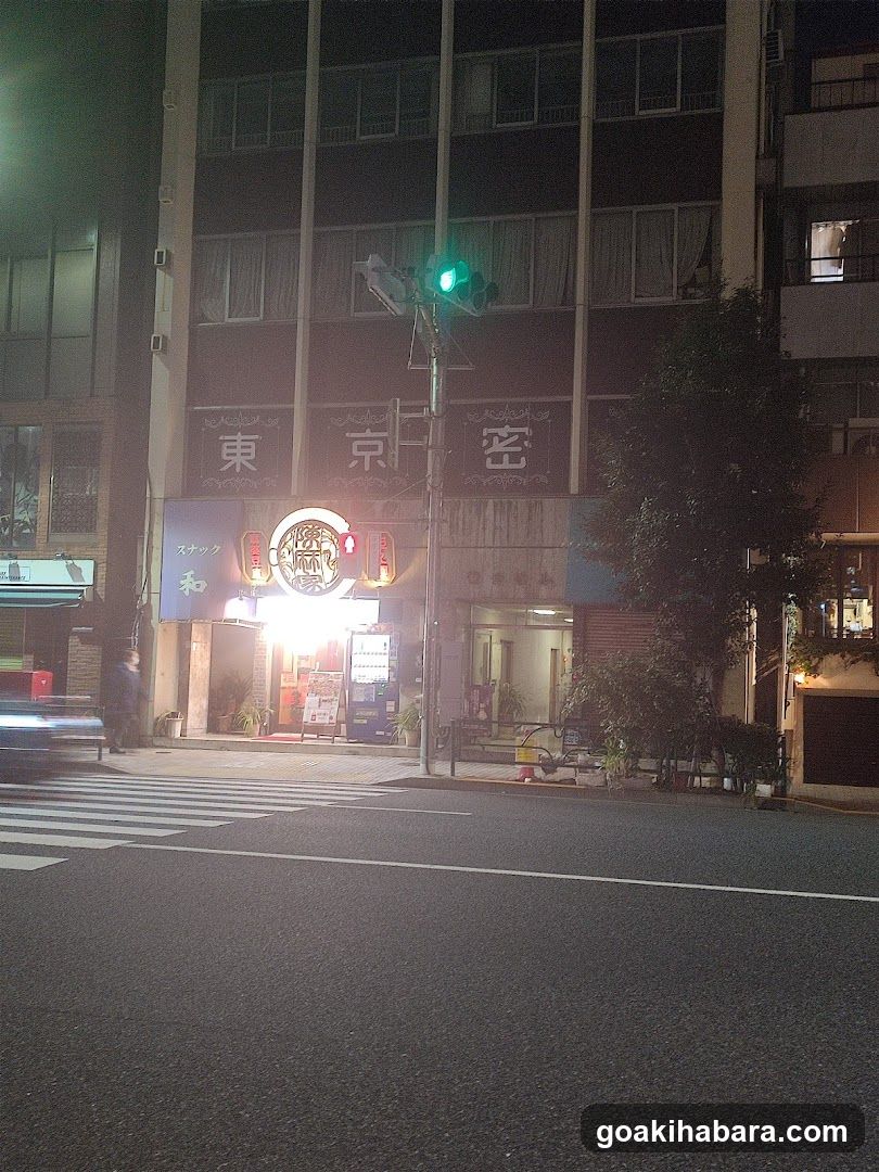 東京密室・リアル型謎解き脱出ゲーム秋葉原店