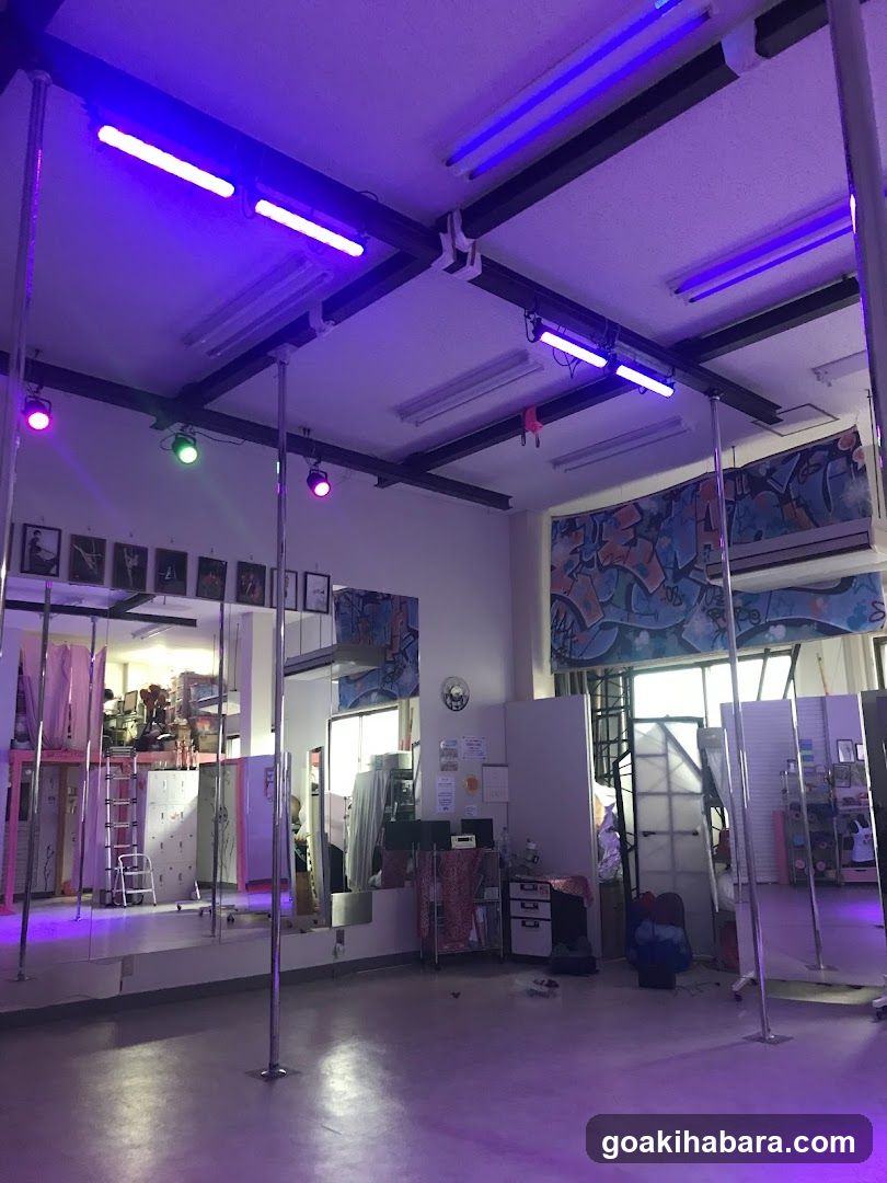 EyeCandyポールダンス秋葉原スタジオ