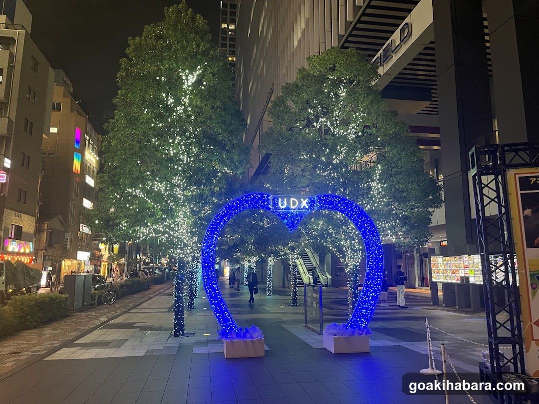 UDX Akiba Plaza