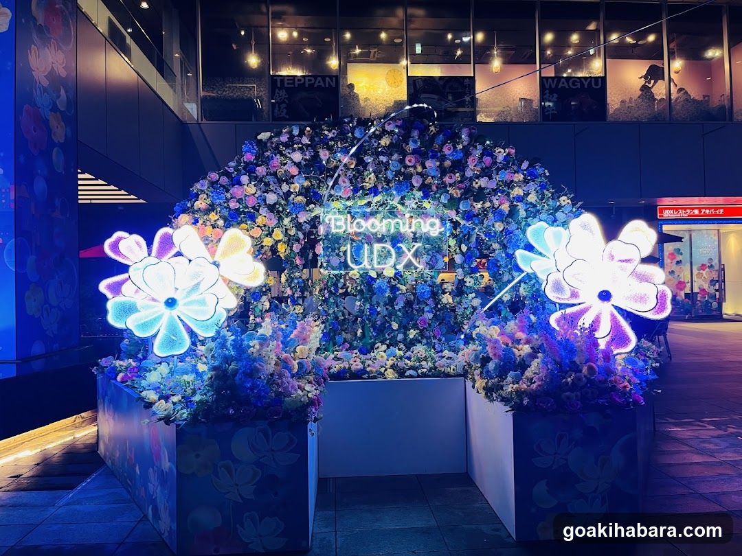 UDX Akiba Plaza