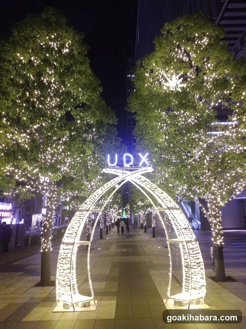 UDX Akiba Plaza