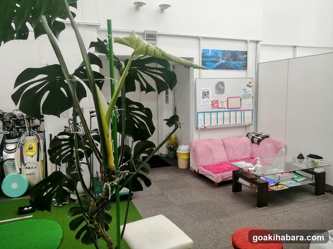 NS Golf School Akihabara Studio