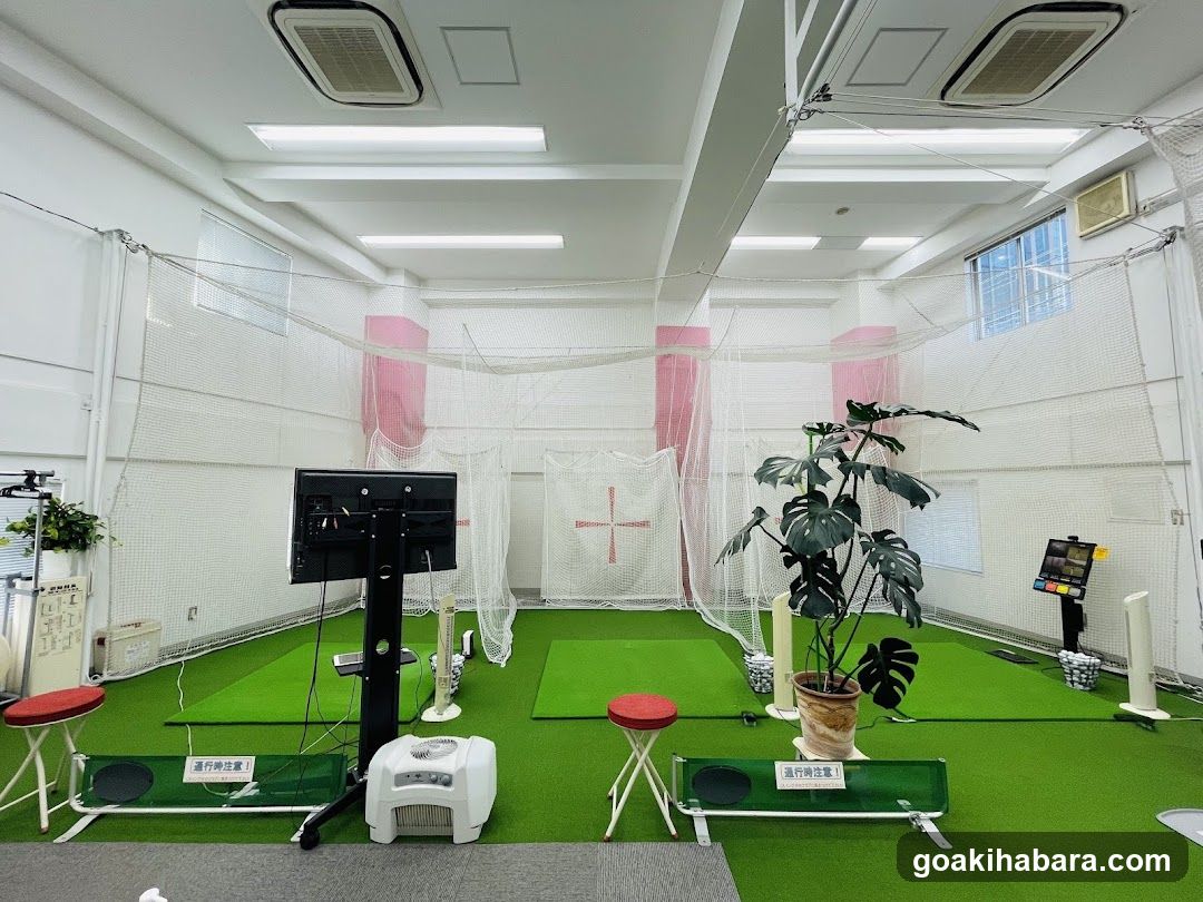 NS Golf School Akihabara Studio