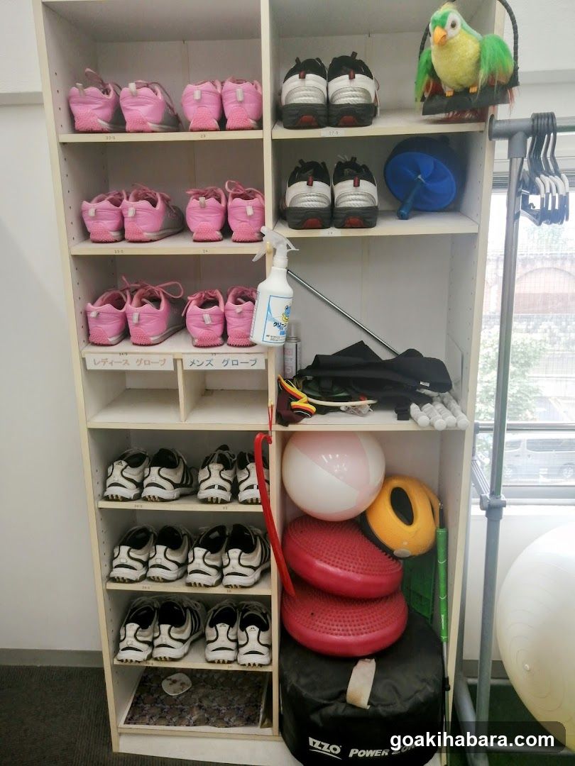 NS Golf School Akihabara Studio