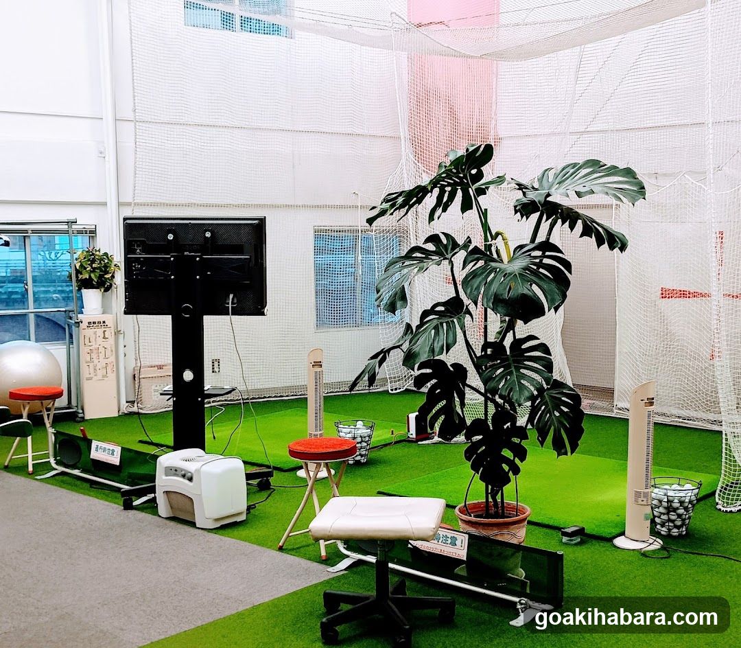 NS Golf School Akihabara Studio