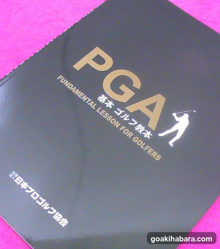 NS Golf School Akihabara Studio