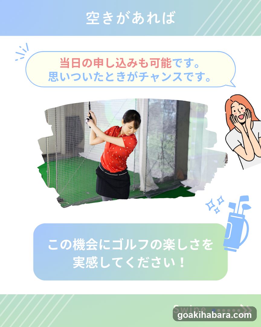 NS Golf School Akihabara Studio