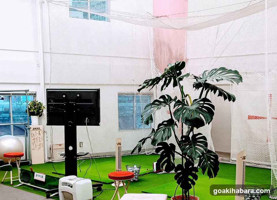 NS Golf School Akihabara Studio
