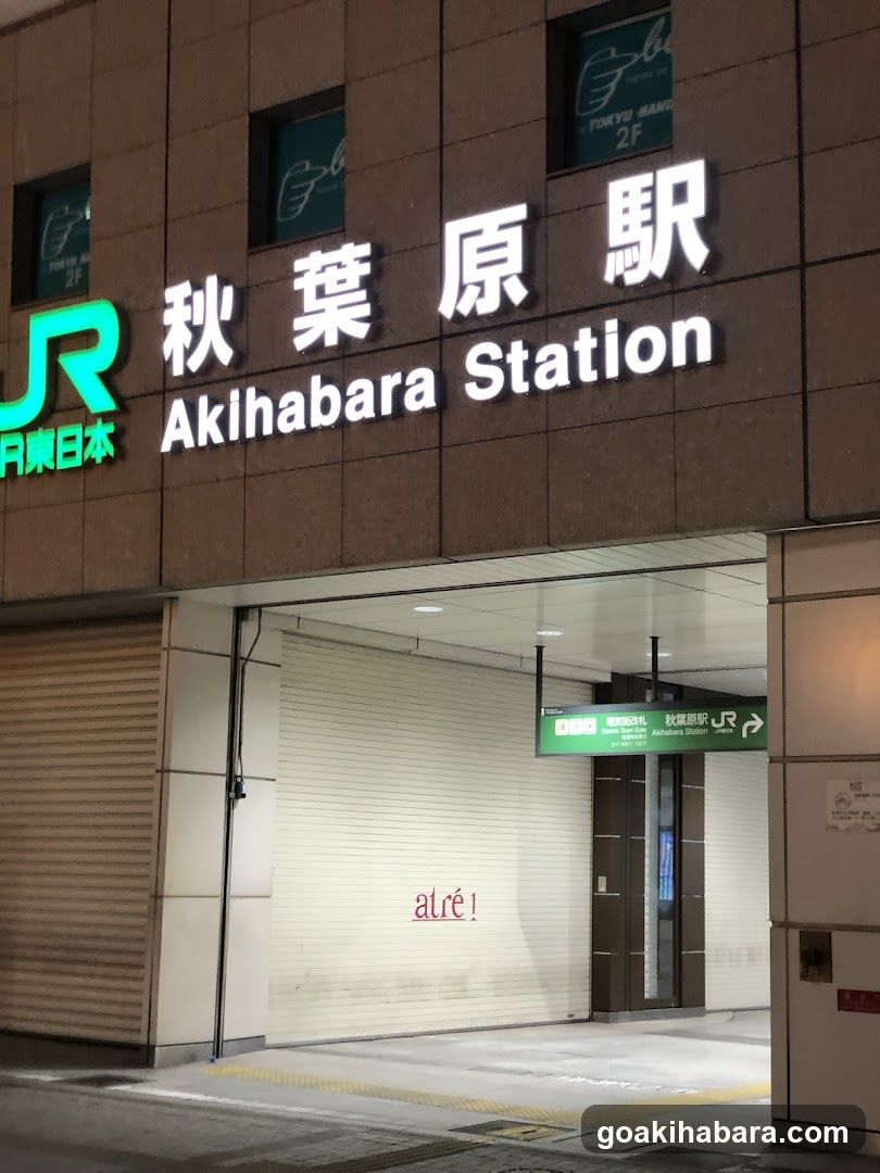 Luggage storage Tokyo Akihabara