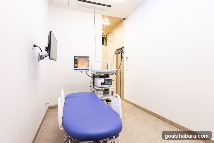 Akihabara Gastrointestinal Endoscopy Clinic