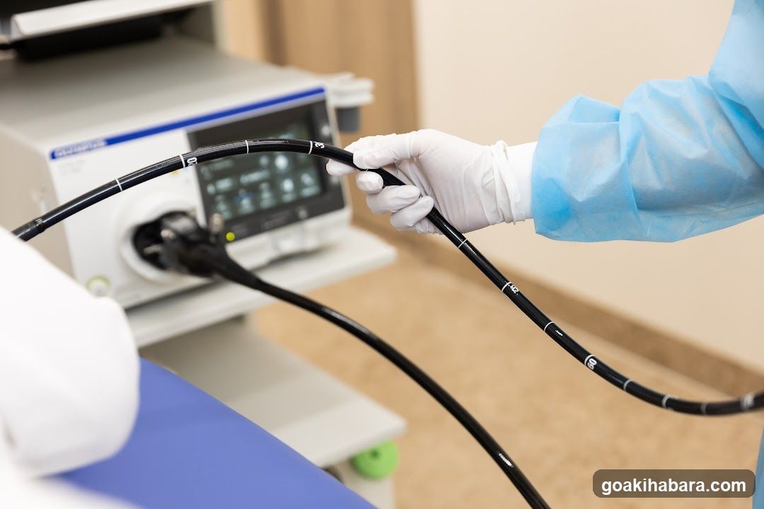 Akihabara Gastrointestinal Endoscopy Clinic