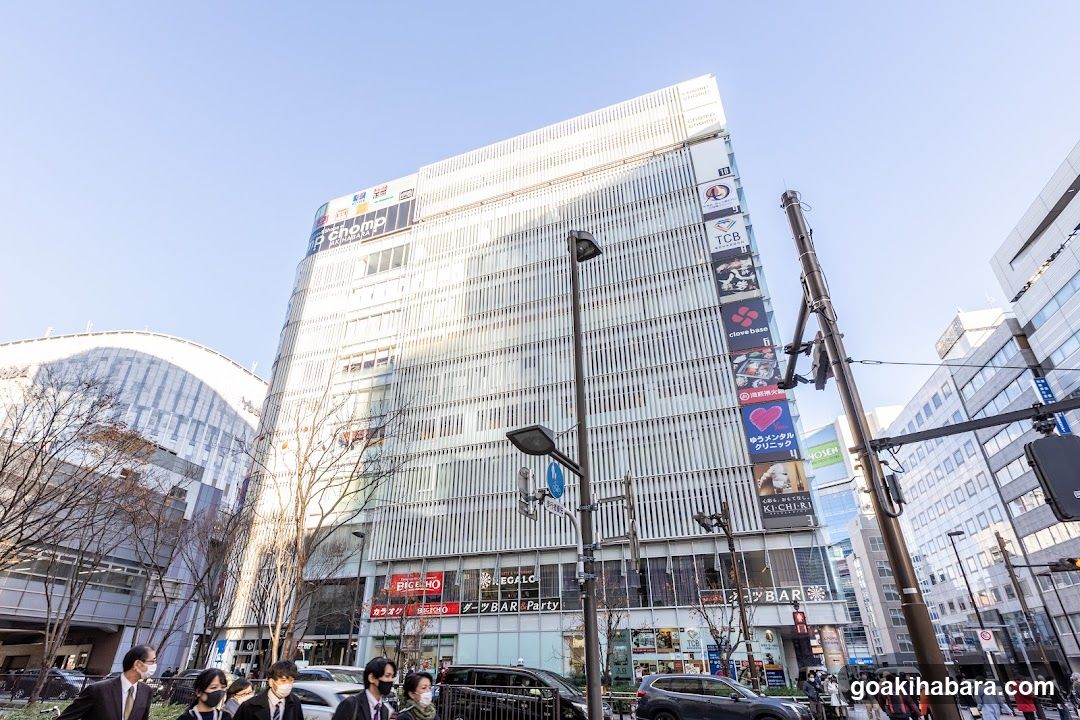 Akihabara Gastrointestinal Endoscopy Clinic