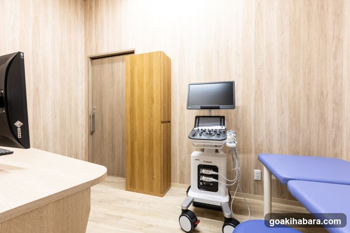 Akihabara Gastrointestinal Endoscopy Clinic
