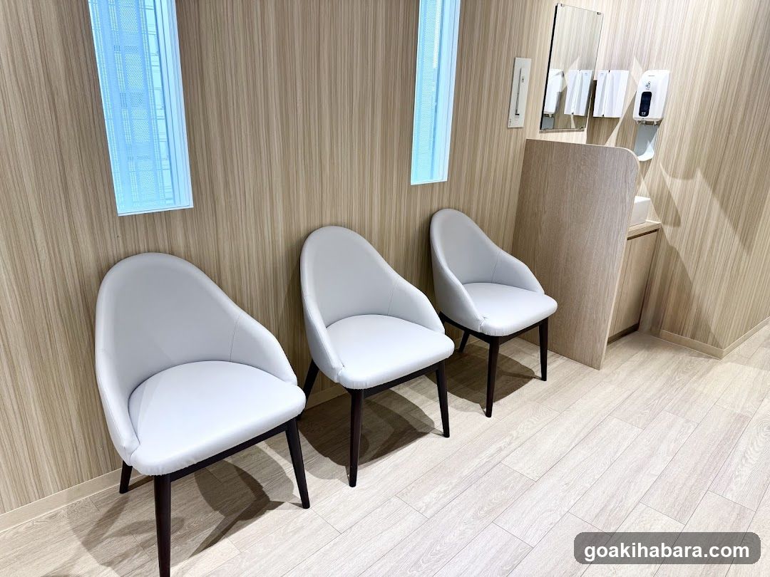 Akihabara Gastrointestinal Endoscopy Clinic