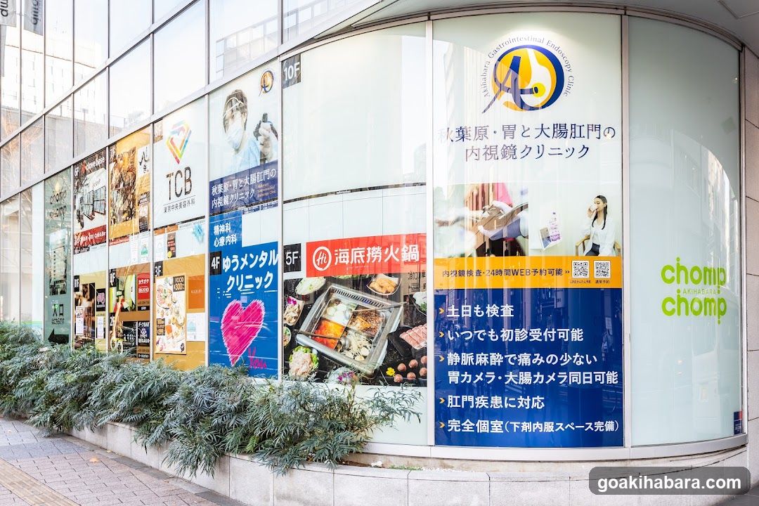 Akihabara Gastrointestinal Endoscopy Clinic