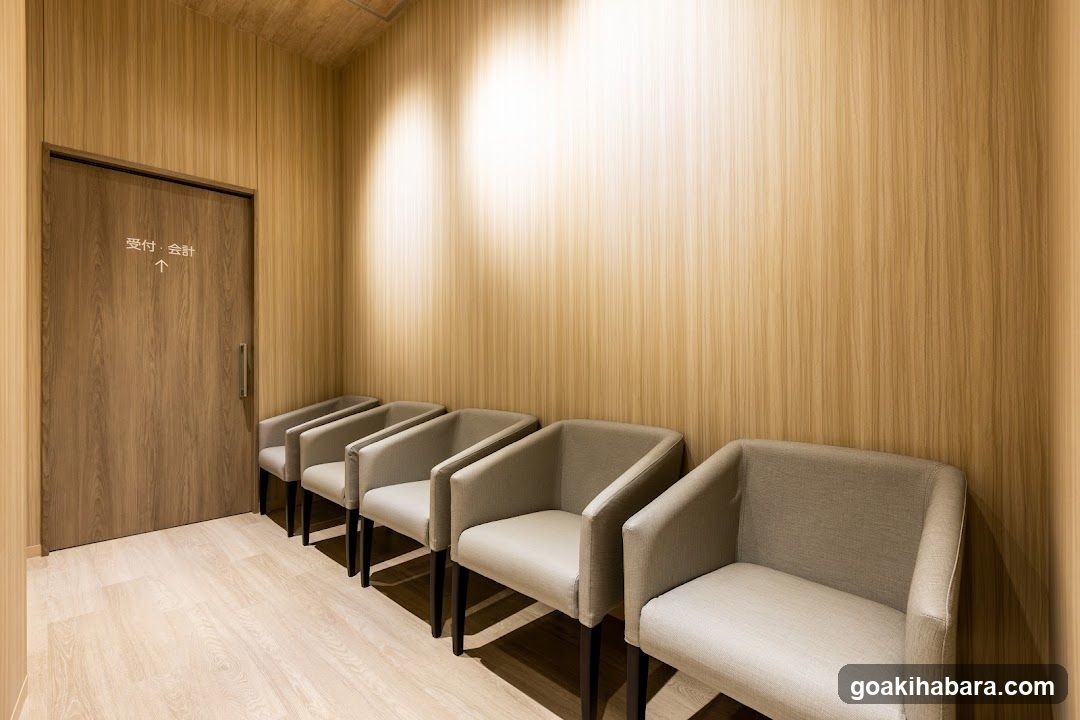 Akihabara Gastrointestinal Endoscopy Clinic