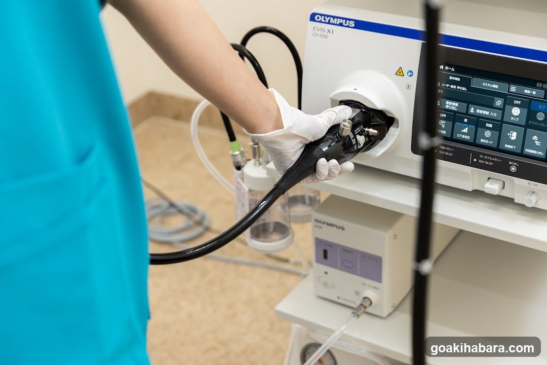 Akihabara Gastrointestinal Endoscopy Clinic