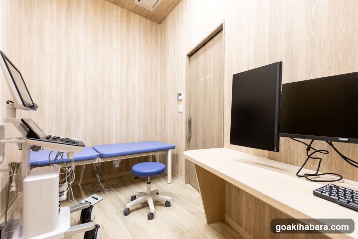 Akihabara Gastrointestinal Endoscopy Clinic
