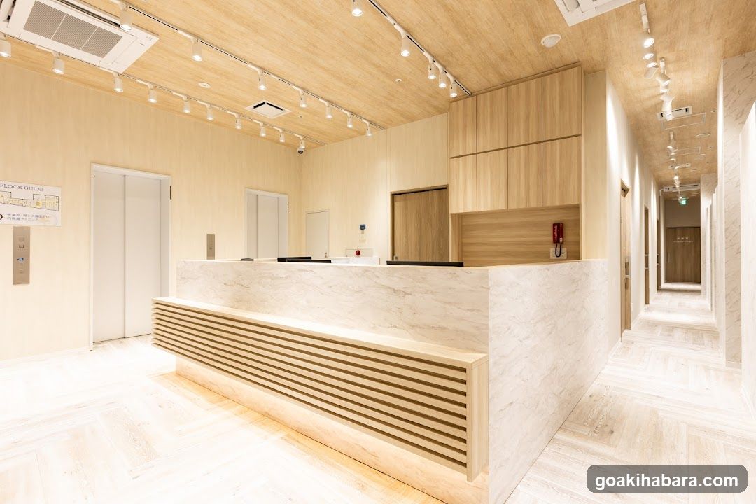 Akihabara Gastrointestinal Endoscopy Clinic