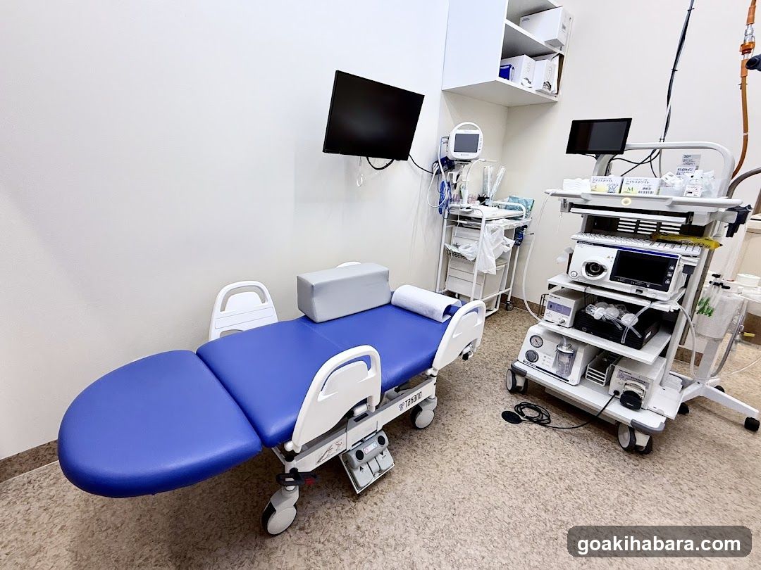 Akihabara Gastrointestinal Endoscopy Clinic
