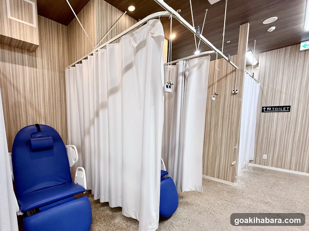 Akihabara Gastrointestinal Endoscopy Clinic
