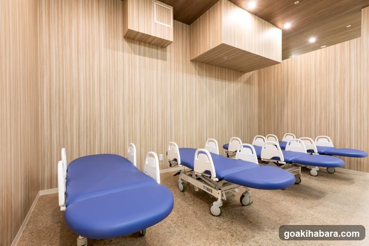 Akihabara Gastrointestinal Endoscopy Clinic