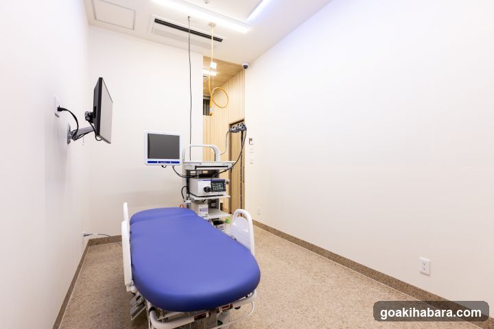 Akihabara Gastrointestinal Endoscopy Clinic
