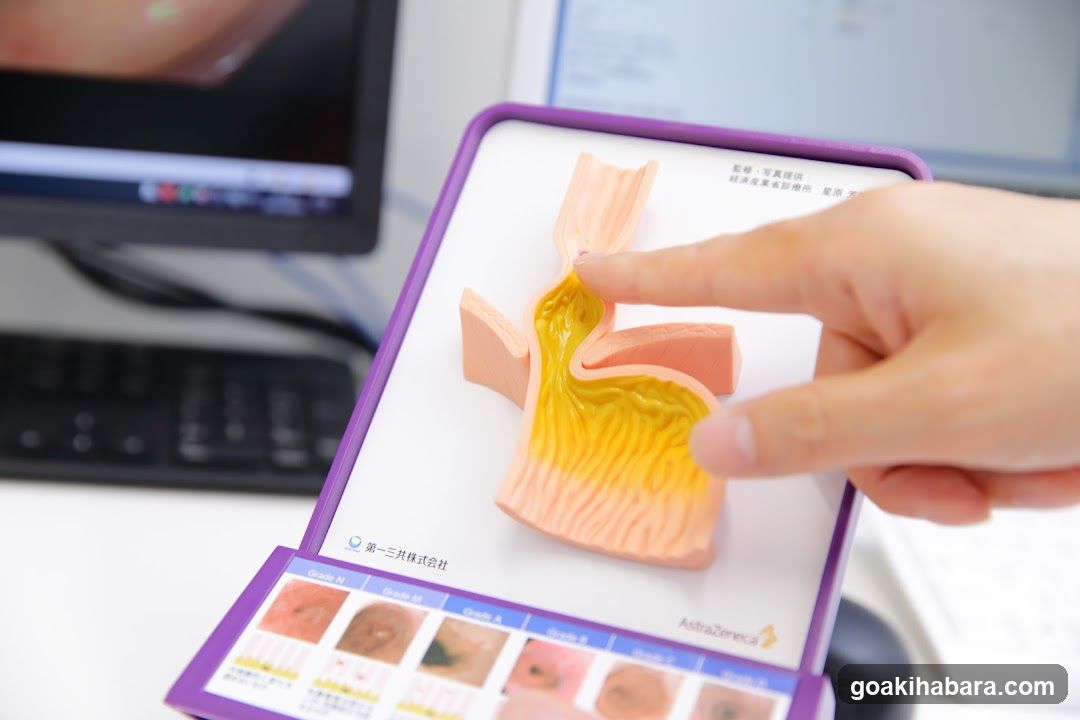 Akihabara Gastrointestinal Endoscopy Clinic