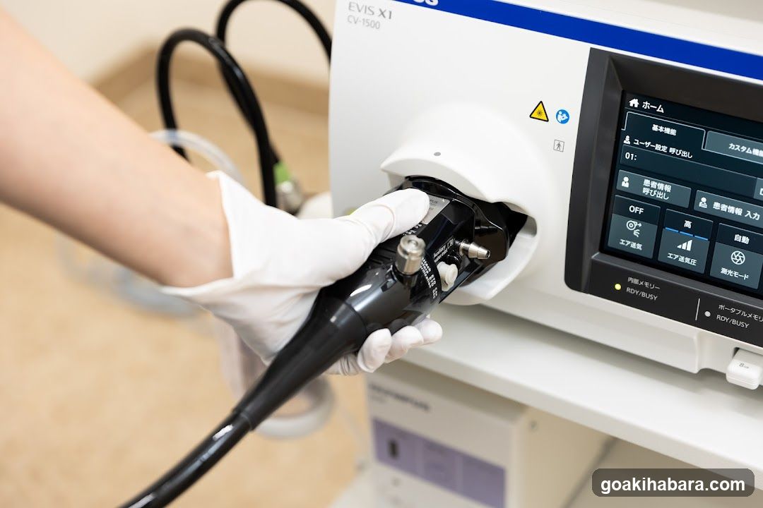 Akihabara Gastrointestinal Endoscopy Clinic