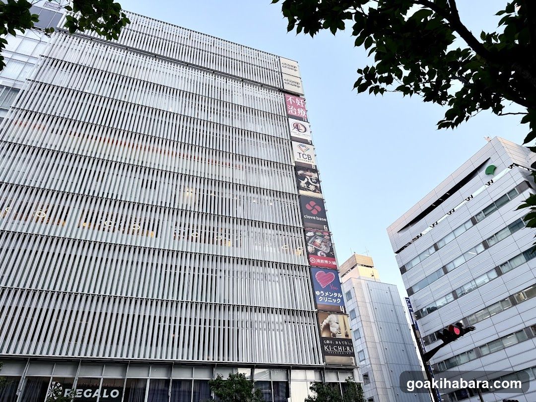 Akihabara Gastrointestinal Endoscopy Clinic